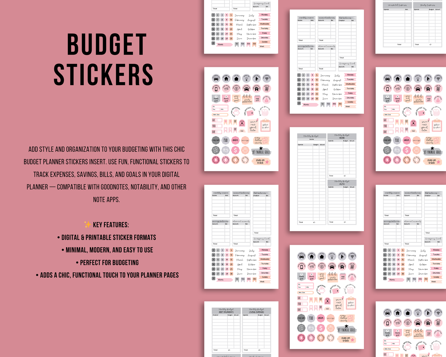 Budget Planner Stickers| Ink & Ivory Digital Planner